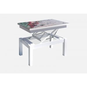 MASA TRANSFORMER BUTTERFLY PRINT 4 ALB