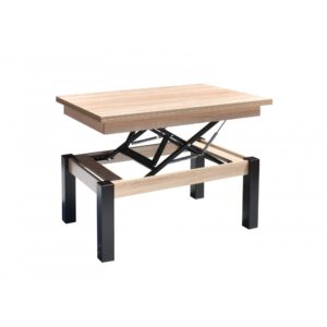 MASA TRANSFORMER BUTTERFLY SONOMA