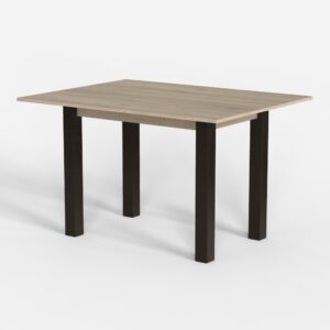 MASA TRANSFORMER DINNER SONOMA