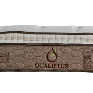Saltea Ocaliptus